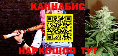 ГАЛЛЮЦИНОГЕННЫЕ ГРИБЫ Камышлов