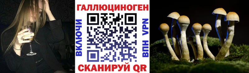 Галлюциногенные грибы Psilocybine cubensis  Верхняя Салда 